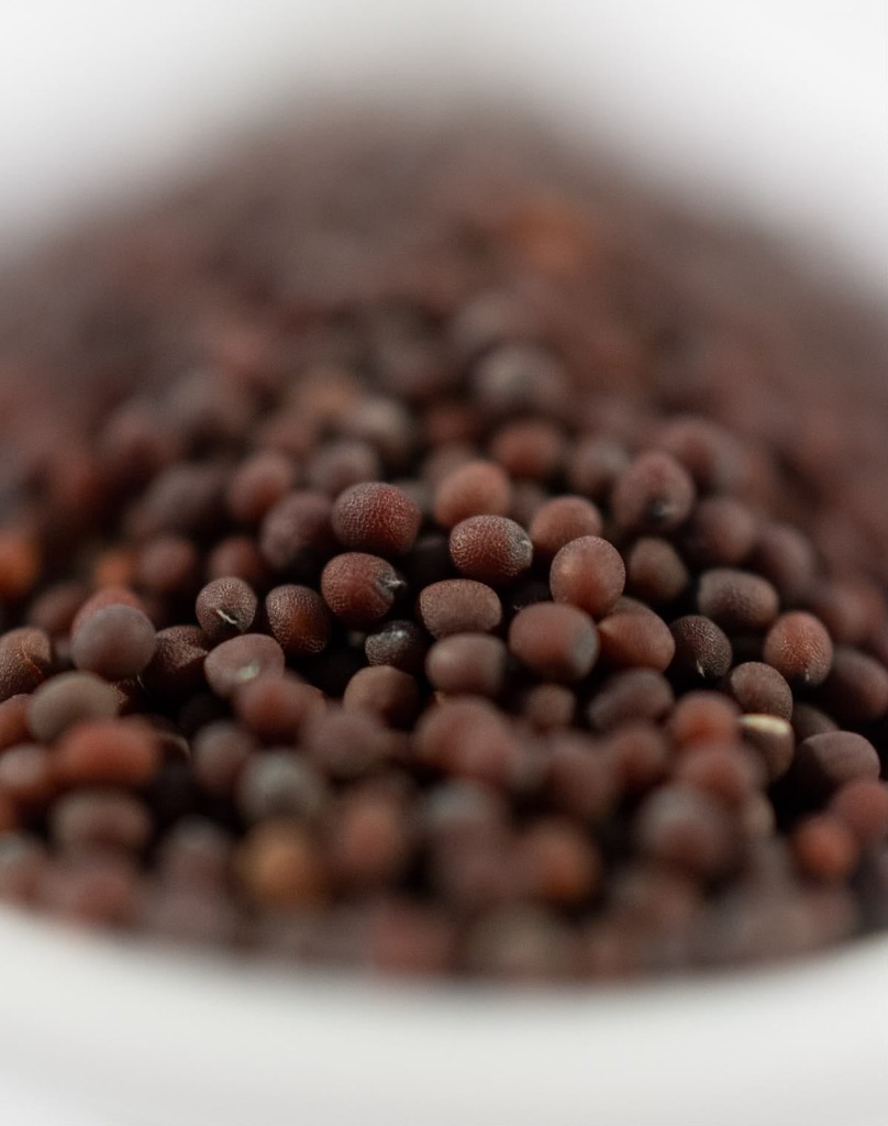 Black Rai (Mustard Seeds)