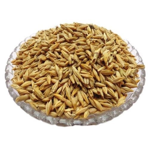 Feed Barley